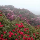 毕节旅游 缩略图 9
