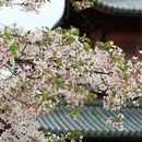 宁波旅游 缩略图 6