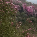 毕节旅游 缩略图 7