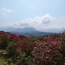 遵义旅游 缩略图 3