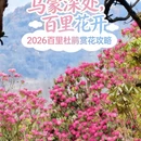 毕节旅游 缩略图 1
