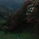 遵义旅游 缩略图 1