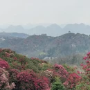 毕节旅游 缩略图 2