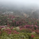 毕节旅游 缩略图 10