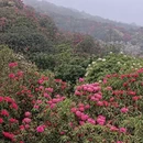 毕节旅游 缩略图 13
