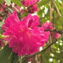 毕节旅游 缩略图 4