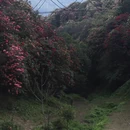 遵义旅游 缩略图 5