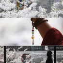宁波旅游 缩略图 12