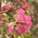 毕节旅游 缩略图 5