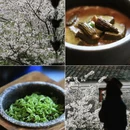 宁波旅游 缩略图 14