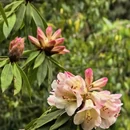毕节旅游 缩略图 7