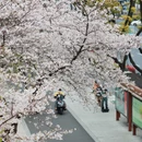 宁波旅游 缩略图 13