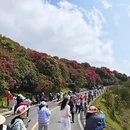 遵义旅游 缩略图 6