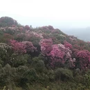 毕节旅游 缩略图 11