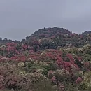 毕节旅游 缩略图 12