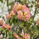毕节旅游 缩略图 3