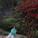 遵义旅游 缩略图 9