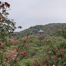 毕节旅游 缩略图 10