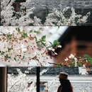 宁波旅游 缩略图 17