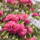 毕节旅游 缩略图 8