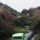 遵义旅游 缩略图 10