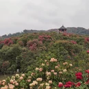 毕节旅游 缩略图 11