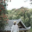 毕节旅游 缩略图 1