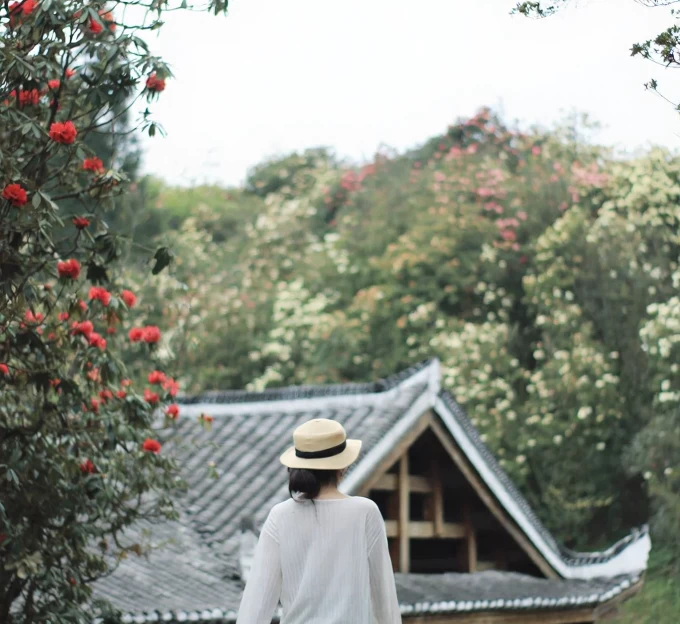 毕节旅游 1