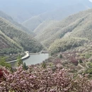 宁波旅游 缩略图 5