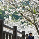 宁波旅游 缩略图 9