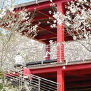 宁波旅游 缩略图 7