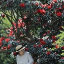 毕节旅游 缩略图 3