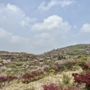 宁波旅游 缩略图 3