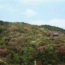 毕节旅游 缩略图 2