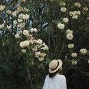 毕节旅游 缩略图 4