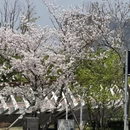 宁波旅游 缩略图 2