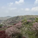 宁波旅游 缩略图 6