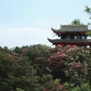毕节旅游 缩略图 5
