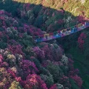 毕节旅游 缩略图 3
