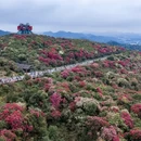 毕节旅游 缩略图 1