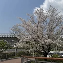 宁波旅游 缩略图 3