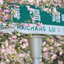 宁波旅游 缩略图 11