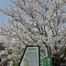宁波旅游 缩略图 4