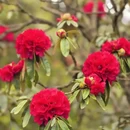 毕节旅游 缩略图 9