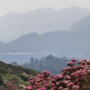 毕节旅游 缩略图 13