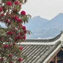 毕节旅游 缩略图 12