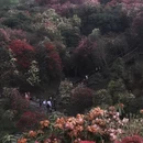 遵义旅游 缩略图 13