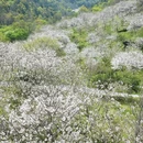 宁波旅游 缩略图 2