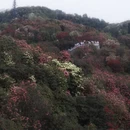 遵义旅游 缩略图 14
