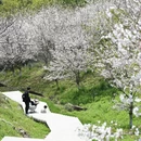 宁波旅游 缩略图 4